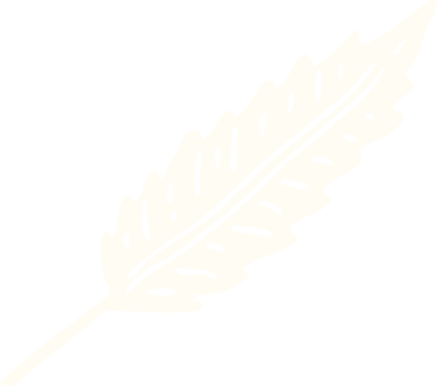 flat color illustration cartoon of a white feather png