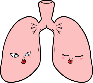 cartoon lungs drawing png