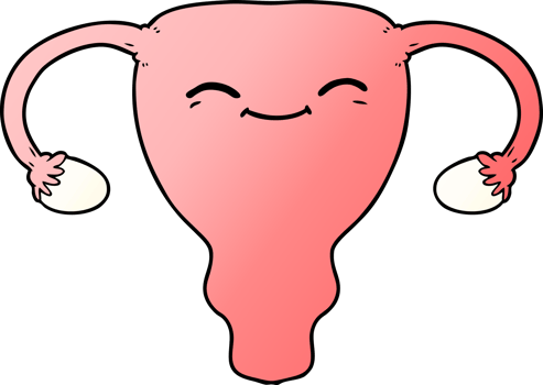 cartoon uterus drawing png