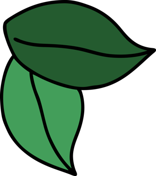 tattoo in traditional style of leaves png