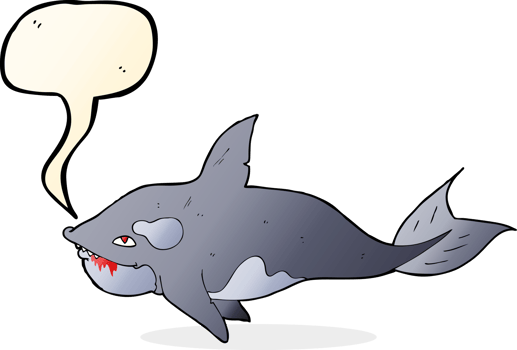 cartoon killer whale with speech bubble png