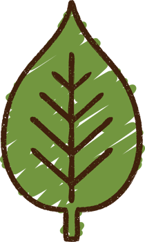 Leaf Chalk Drawing png