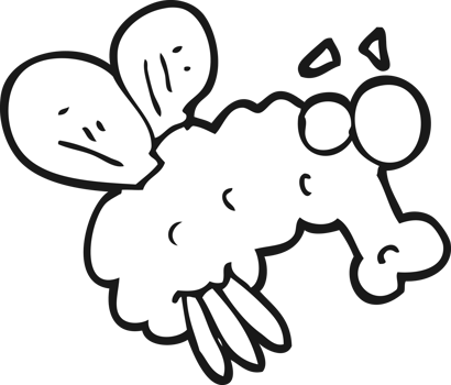 hand drawn black and white cartoon fly png
