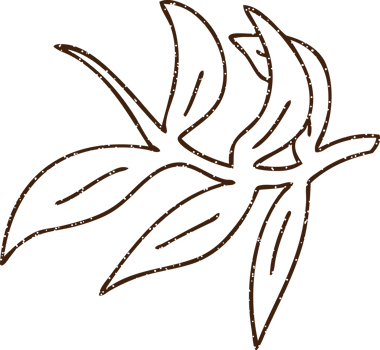 Leaves Charcoal Drawing png