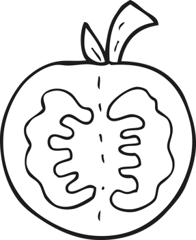 hand drawn black and white cartoon tomato png
