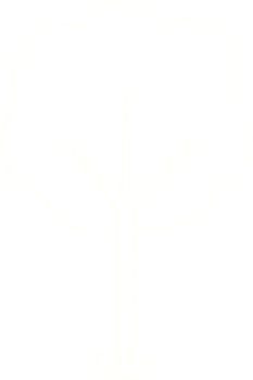 Tree Chalk Drawing png