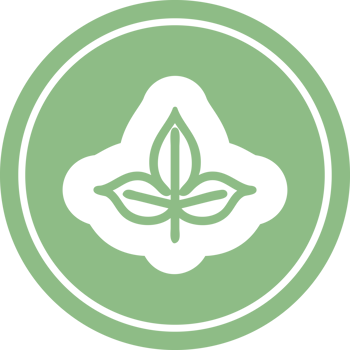 natural leaf circular icon symbol png