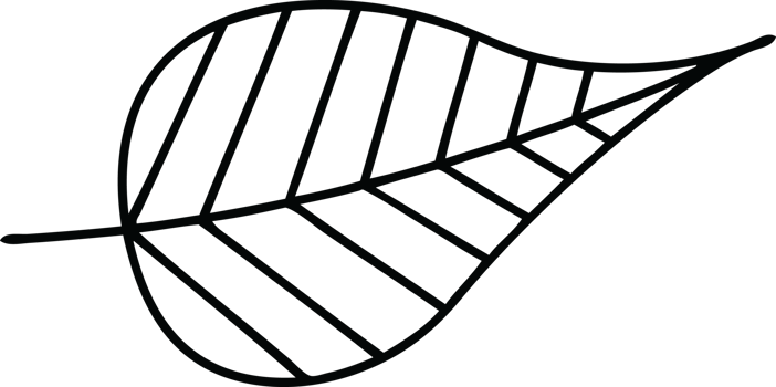 line drawing cartoon of a green leaf png