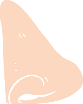 flat color illustration of human nose png