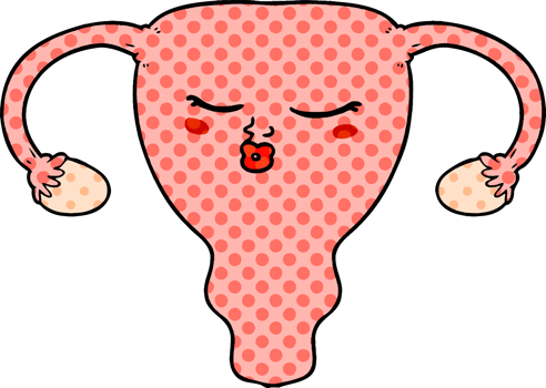 cartoon uterus drawing png