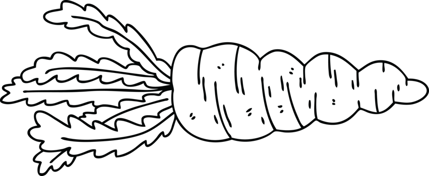 line drawing quirky cartoon carrot png