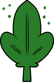 cartoon leaf drawing png