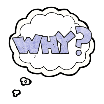hand drawn thought bubble textured cartoon shout WHY png