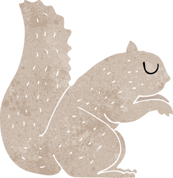 cartoon squirrel drawing png
