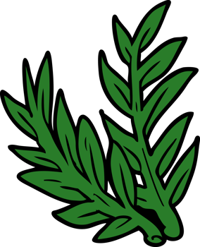 cartoon plant drawing png