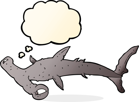 cartoon hammerhead shark with thought bubble png