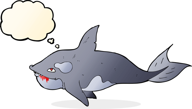 cartoon killer whale with thought bubble png