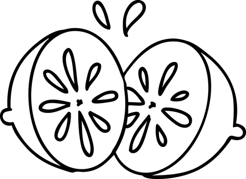 line doodle of a fresh lemon sliced in two png