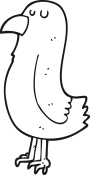 drawn black and white cartoon parrot png