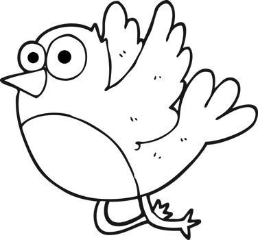 drawn black and white cartoon bird png