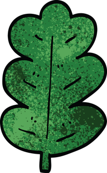 cartoon doodle oak leaf png