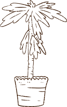 House Plant Charcoal Drawing png