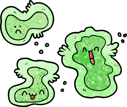 cartoon cells drawing png