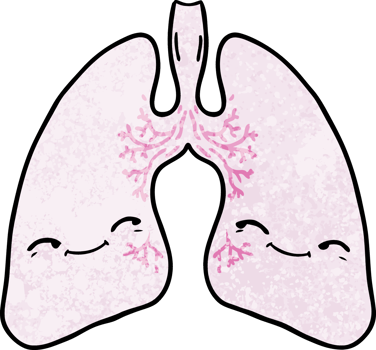 cartoon lungs drawing png