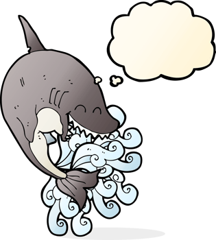 cartoon shark with thought bubble png