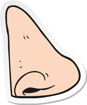 sticker of a cartoon human nose png