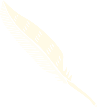 flat color illustration cartoon feather png