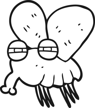 drawn black and white cartoon fly png
