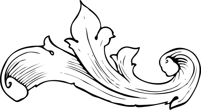 traditional hand drawn floral swirl png