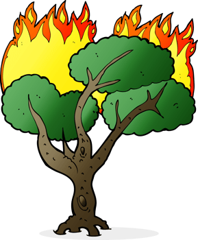 cartoon burning tree png