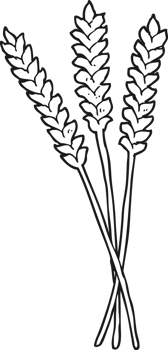 hand drawn black and white cartoon wheat png