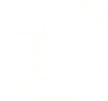 Bird Chalk Drawing png