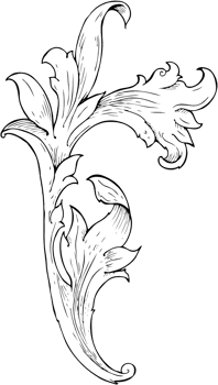 traditional hand drawn floral swirl png
