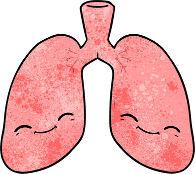 cartoon lungs drawing png