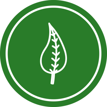 natural leaf circular icon symbol png