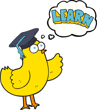 hand drawn thought bubble cartoon bird with learn text png