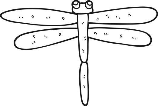 hand drawn black and white cartoon bug png