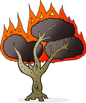 cartoon burning tree png