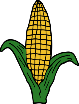 cartoon doodle healthy corn png