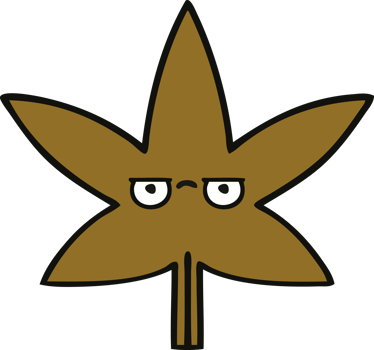 cute cartoon of a autumnal leaf png