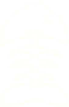 Fish Skeleton Chalk Drawing png
