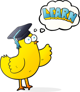 hand drawn thought bubble cartoon bird with learn text png