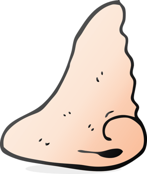 hand drawn cartoon human nose png