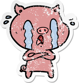 distressed sticker of a crying pig cartoon png