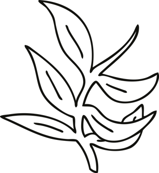 line drawing quirky cartoon vines png