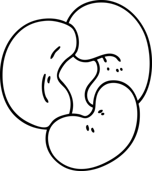 line doodle healthy cashew nuts high in zinc for your snacktime snack png